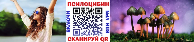 где купить   Дмитриев  Галлюциногенные грибы Magic Shrooms 